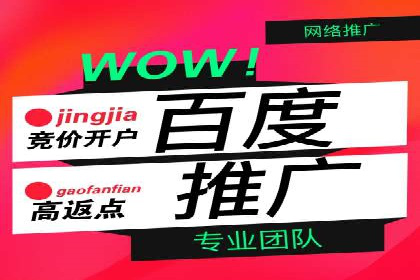 高效百度竞价策略分享与案例